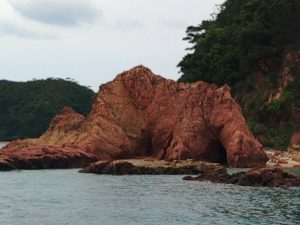 ブタ鼻