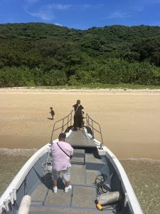 無人島の砂浜
