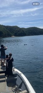 イルカとの遭遇1