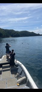 イルカとの遭遇2
