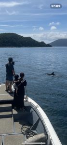イルカとの総3